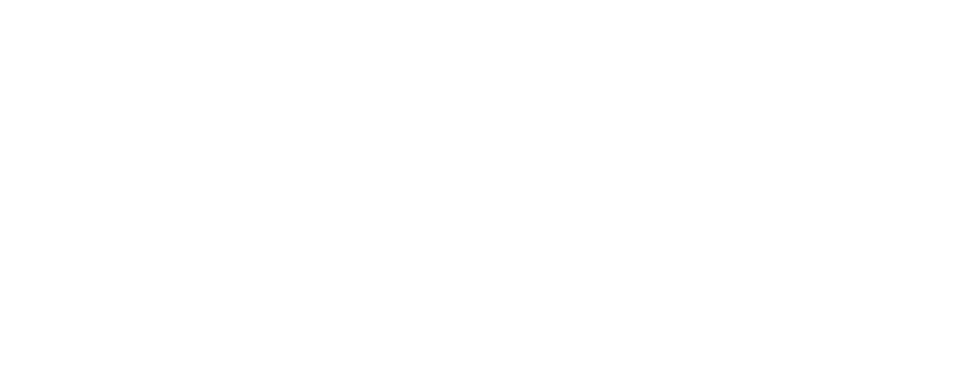 Pash Logo